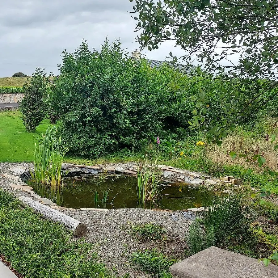Ros Na Gcloch Bed & Breakfast Westport
